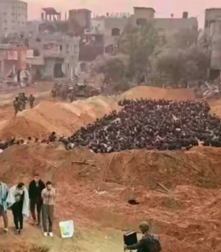 恐怖的加沙事件！简直就是南京大屠杀的翻版！大批巴勒斯坦人被逼坐入早被挖好的万人坑