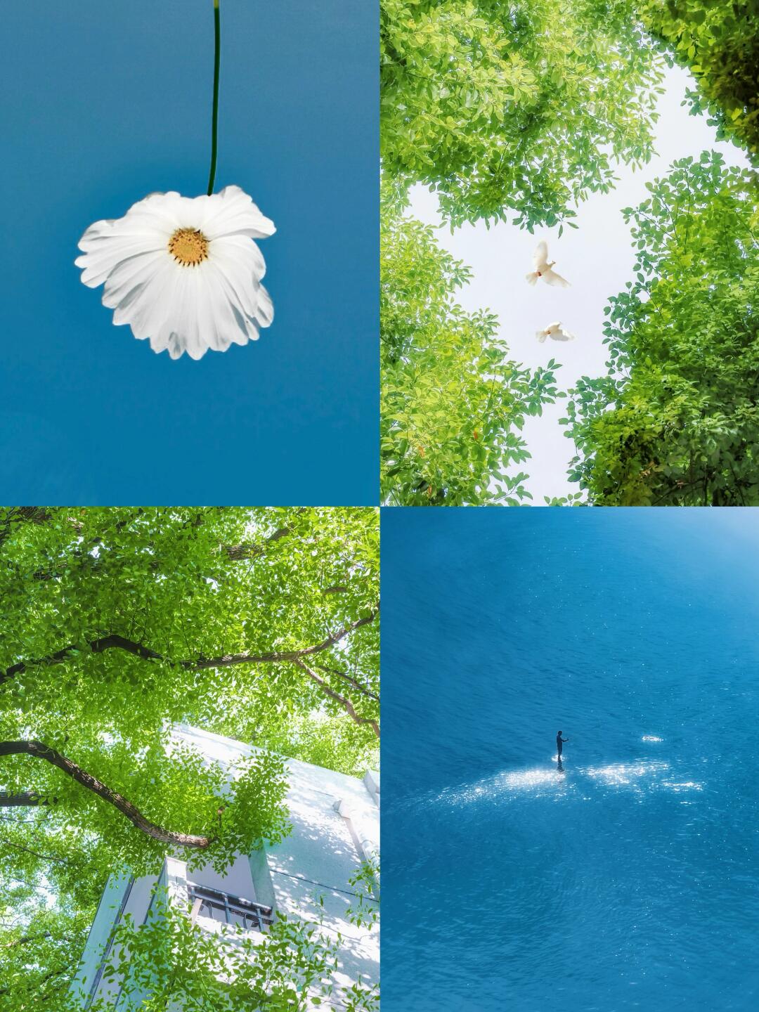 分享一张相册里的蓝绿色