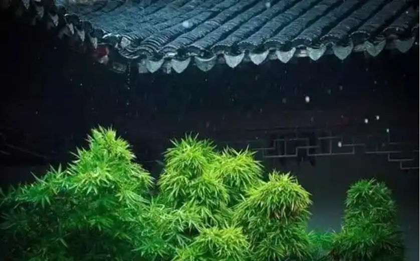 快过年了，一到过年我就害怕，全家老小聚到一起，热闹是真热闹。
但就是一天三顿饭，