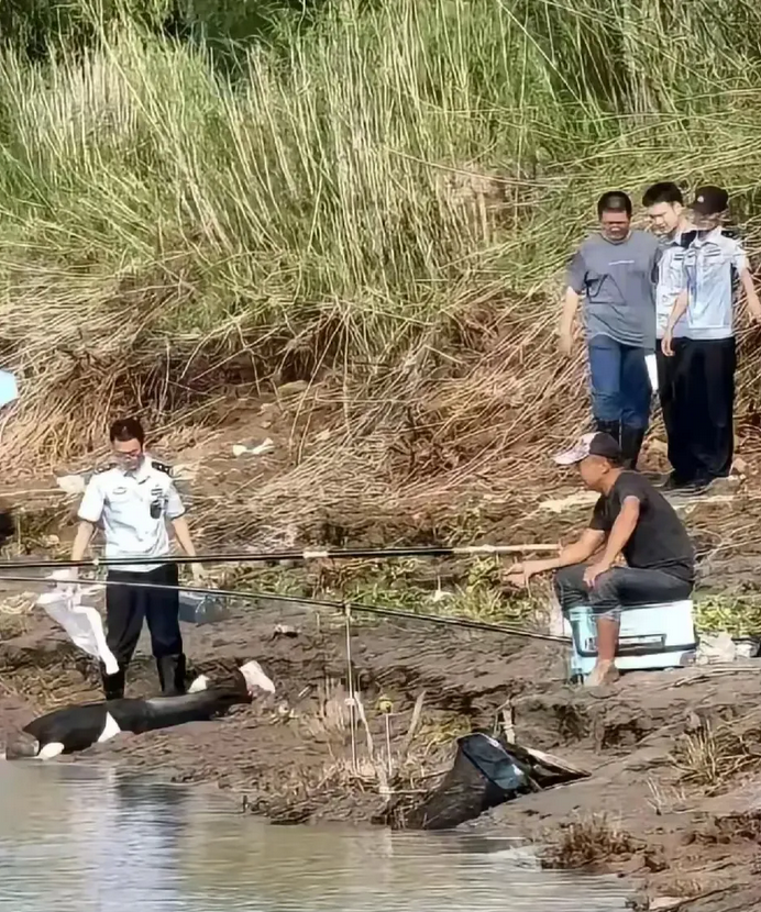 一般人永远都不理解钓友的心！
别说什么野钓有风险，环境恶劣，黑夜瘆人，真正钓起来