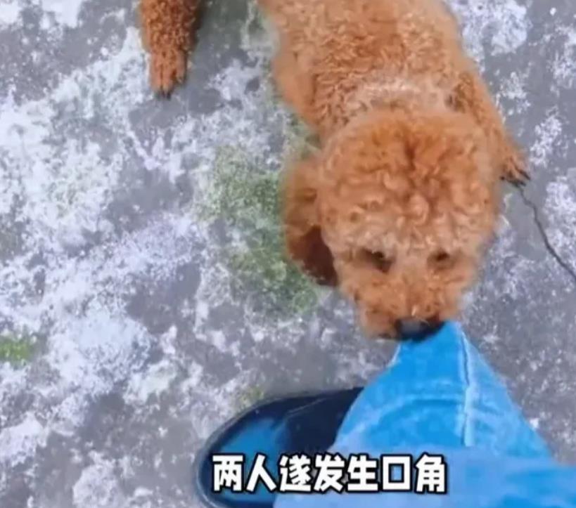 甘肃张掖，女子在超市门口被一只宠物狗扑咬，虽没咬到，但女子吓坏了。狗主人不道歉，