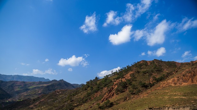 我买了四箱海鲜放进冰箱，趁我不在婆婆都送了人，婆婆后悔莫及