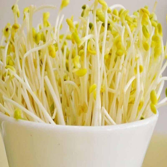 豆芽炒韭菜