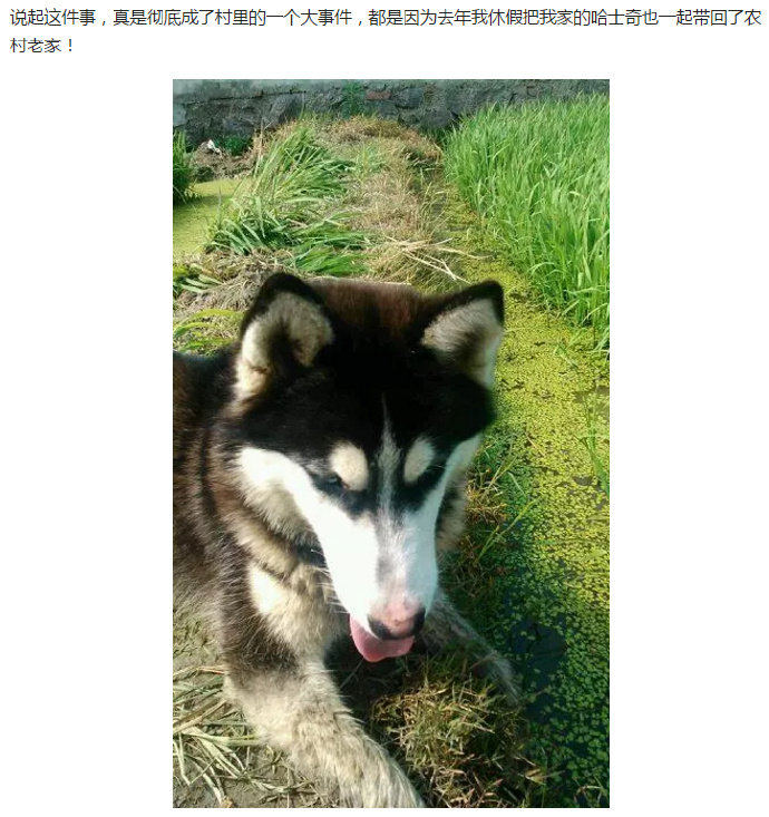 厉害了我的哈！ ​​​​