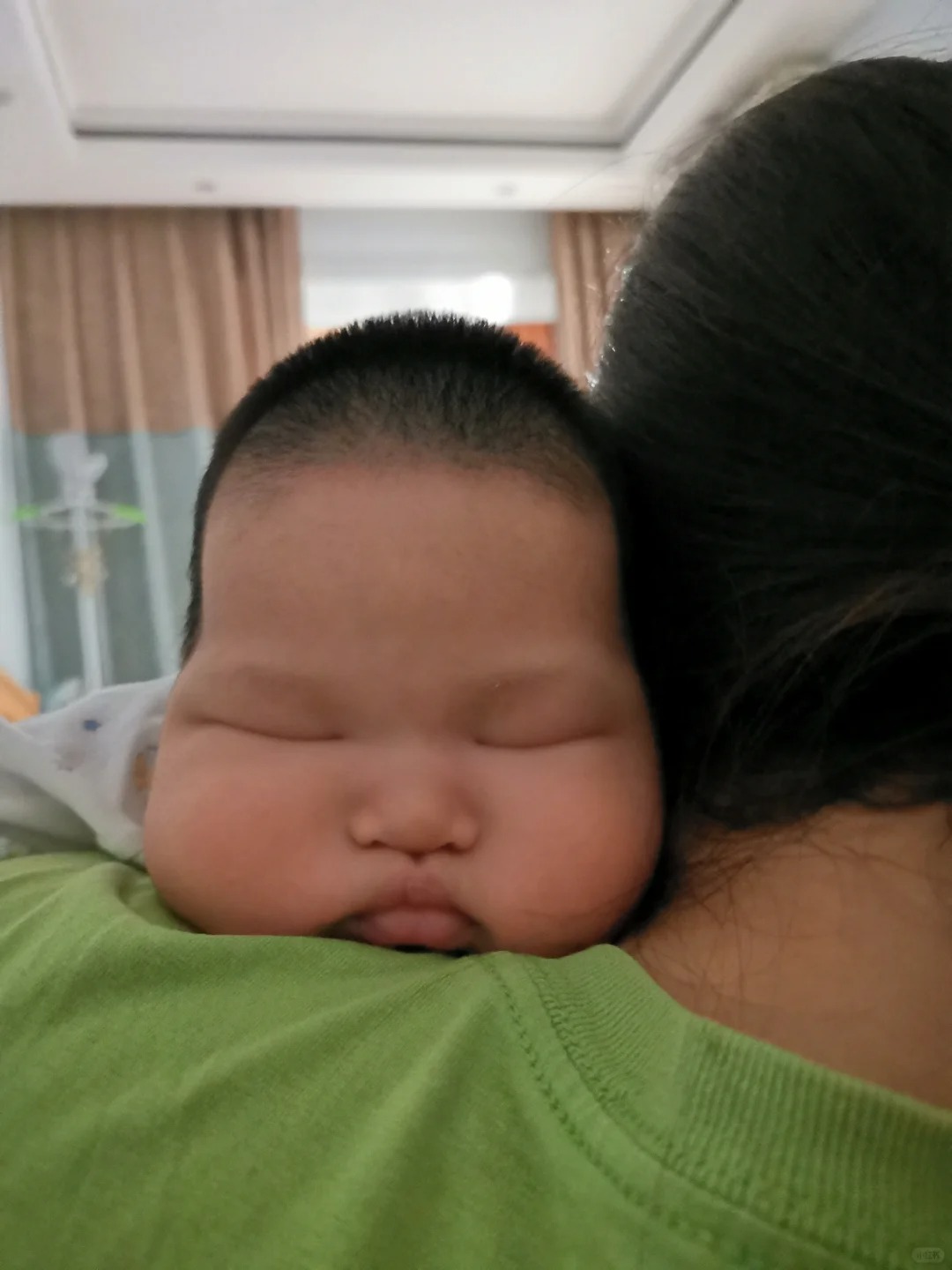 养了4年 是她长开了 还是我想开了😅
