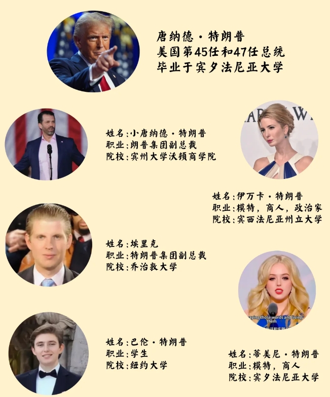 特朗普家族学历盘点：

姓名:小唐纳德·特朗普

职业:朗普集团副总裁

院校: