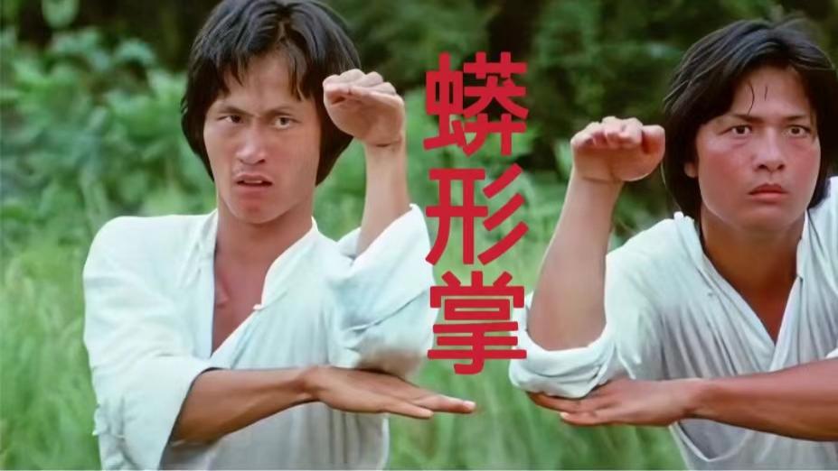 出手有千斤的《蟒蛇掌》