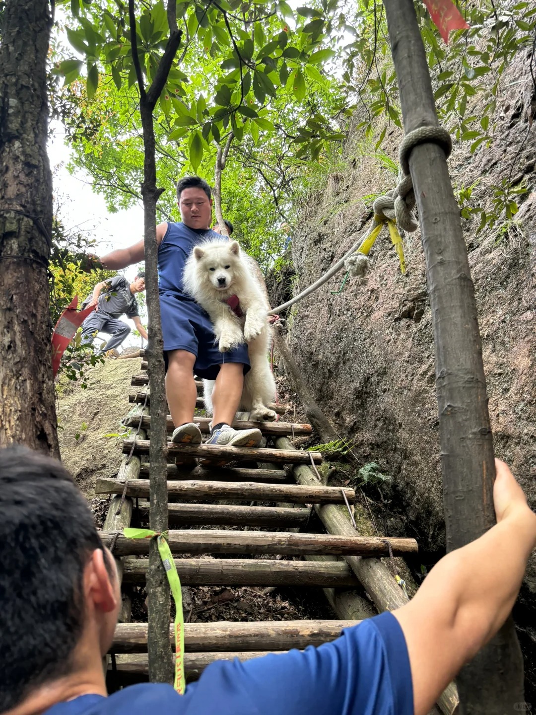 实名感谢诸暨消防队的蓝朋友🚒☺️
爬呼狗崖上去一路都很好走，下山的时候突然发现