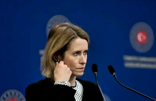 一针见血

离开了美国的北约，不过是一只猫。

欧盟外长通电话特斯特，得知特斯特