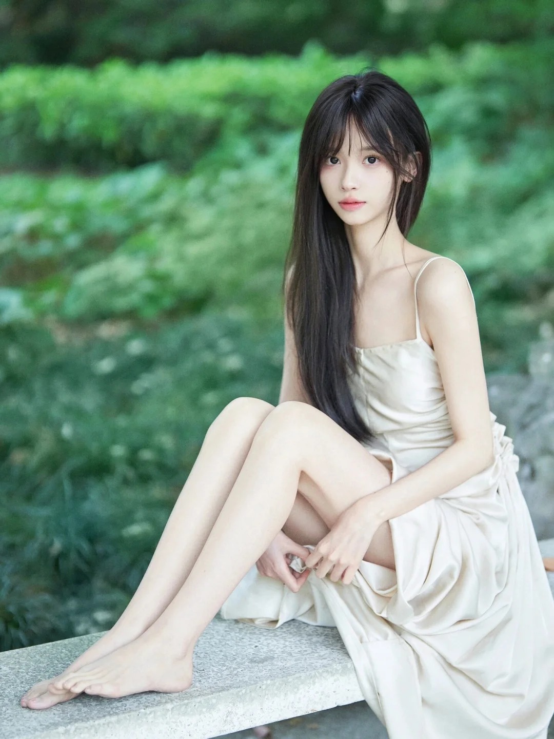 白莲花