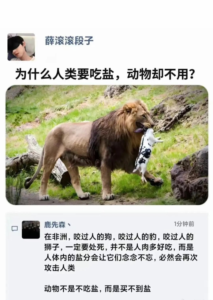 为什么人类要吃盐，动物却不用？ ​​​