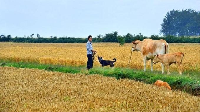 抬头有星空，低头有土地，心中有故乡，我们都是身在远方的异乡人