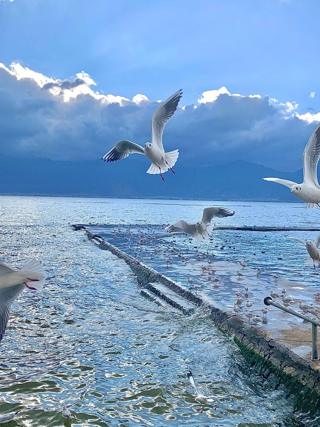 不小心误入天空之境🌊