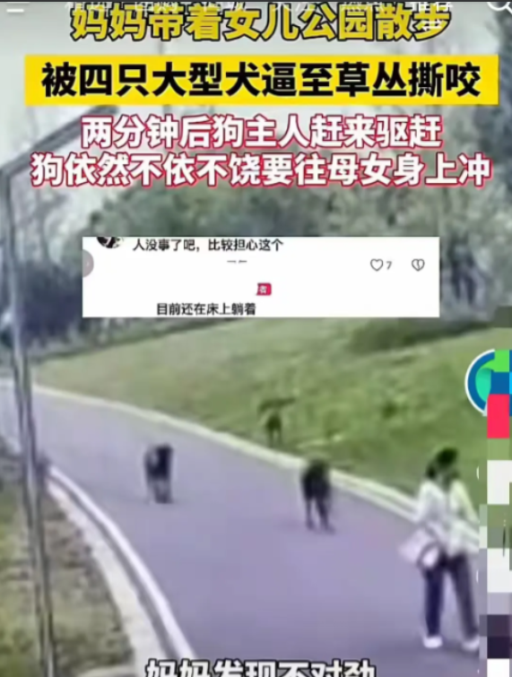 江西赣州，女子带3岁女儿公园里散步，被4条没有拴绳的恶犬按地撕咬！女子丈夫：“妻