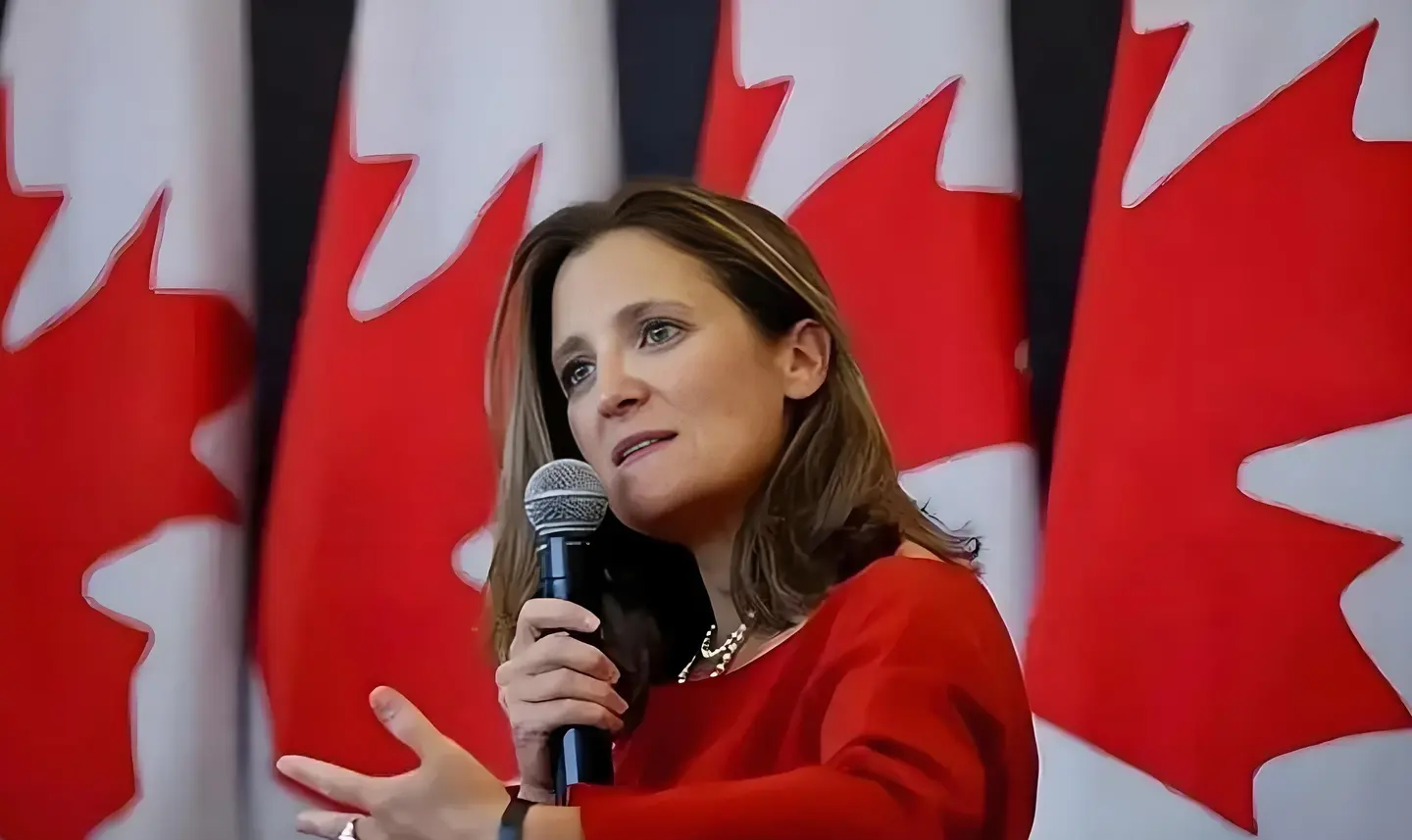 加拿大将采取一切措施反制特朗普的关税威胁