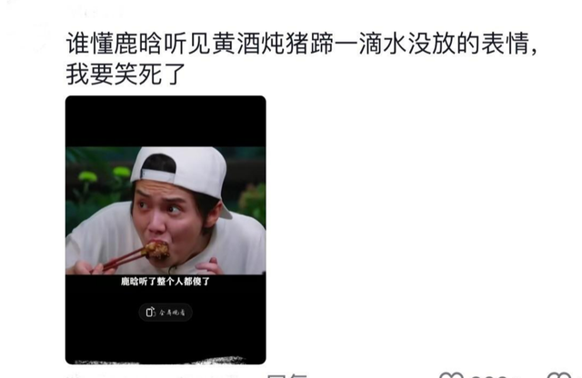 黄磊评论区终于敢说实话了全是受害者真相图太好笑了!(黄磊批评)-第11张图片-九妖电影 黄磊评论区终于敢说实话了全是受害者真相图太好笑了!(黄磊批评)-第11张图片-九妖电影