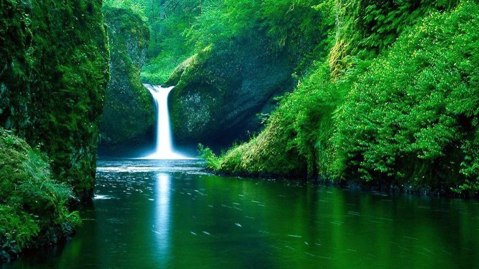 历久弥丹巾帼心——庆“八一”致敬军中女杰钟惠玲（四首）