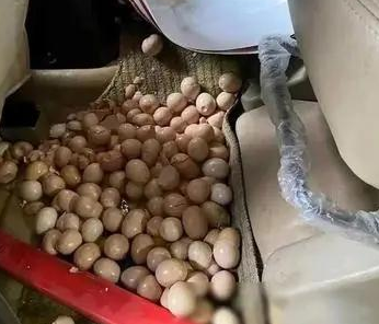 洗车老板一看，你还是让我走了，哈哈！