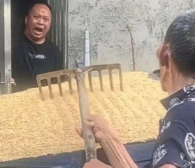 这种情况要是报保险，会不会万无一失呢？