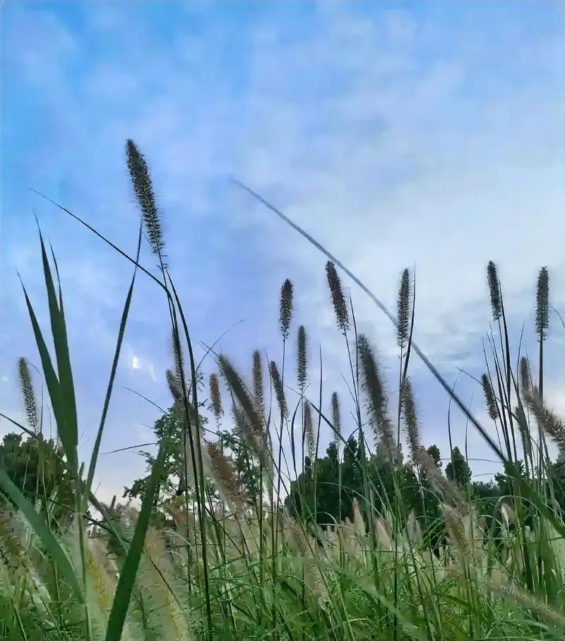 分享一段发人深思的话：“直至如今我才恍然发觉，那些真心对我好的人呀，没有一个是我