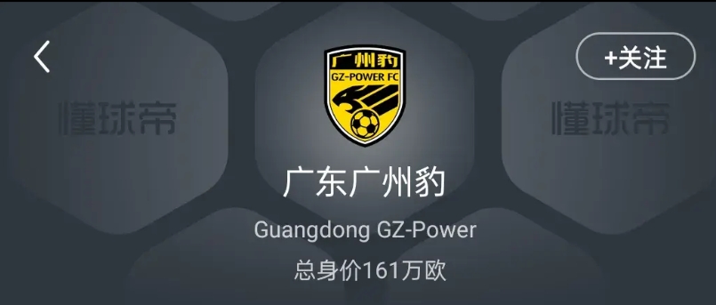 广州足球的未来——广州豹
广州豹成立之初，就是广州地方政府已经明白广州恒大保不住