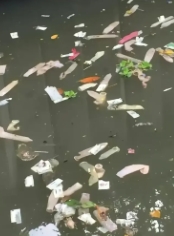 武汉某个技术学院后墙边的小河里，哎 ⁡ ⁡ ⁡ ⁡