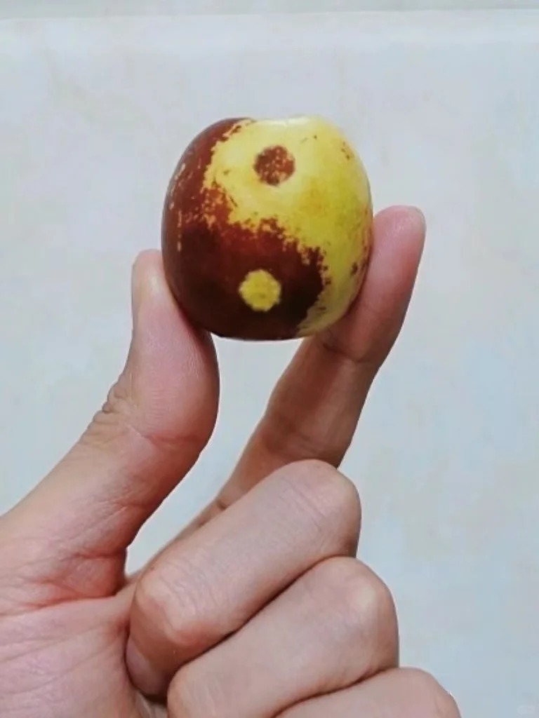 当我拿出这颗枣子，阁下有几何思量？
道家强调的是无为，它认为天地万物源于同一本源