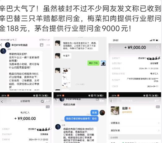 辛巴三只羊的故事还在继续上演，辛巴昨晚并没有出现在直播间，因为他个人账号的直播功