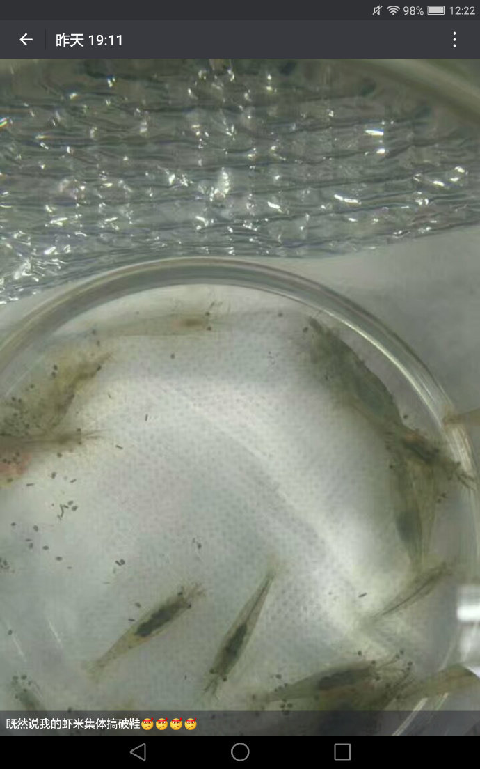 一个结了婚了有了孩子的女人