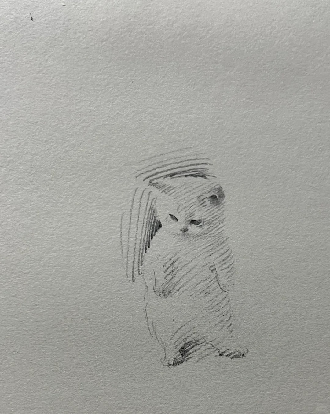 几笔小小猫
