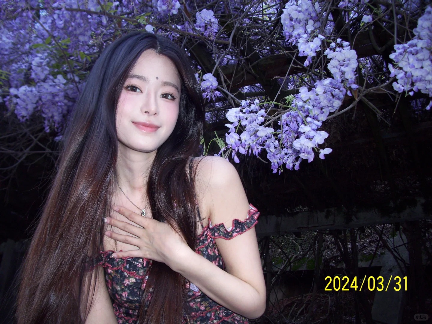 紫藤花开啦