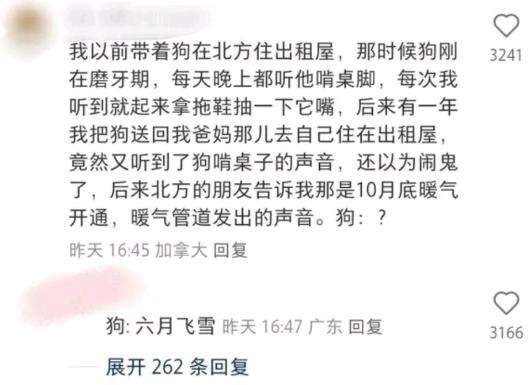 狗：我背的锅谁懂啊