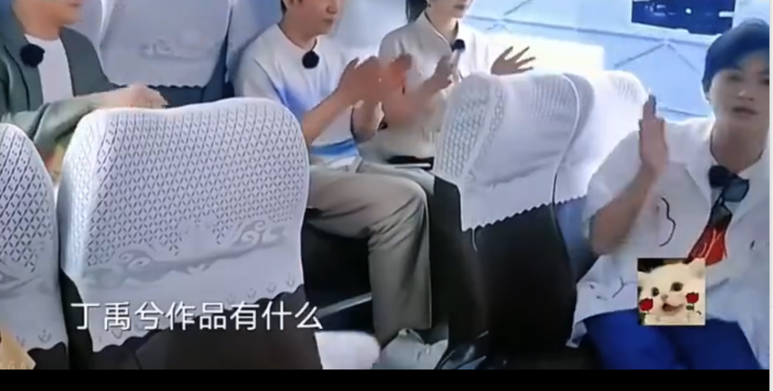 柳岩昔日一段表示 “不知道丁禹兮作品是什么” 的视频被再度翻出