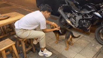 网友喝醉说牵了条狗回家，但第二天一看太离谱了吧！
