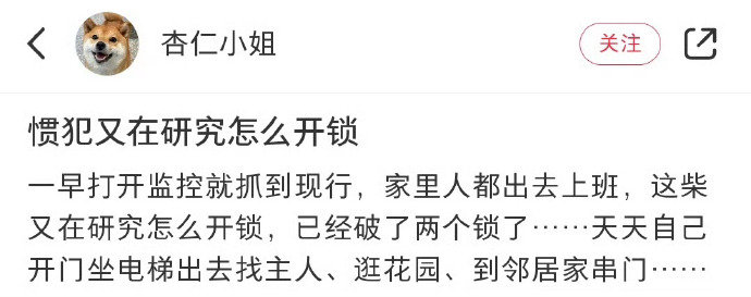 狗子又在研究怎么开锁