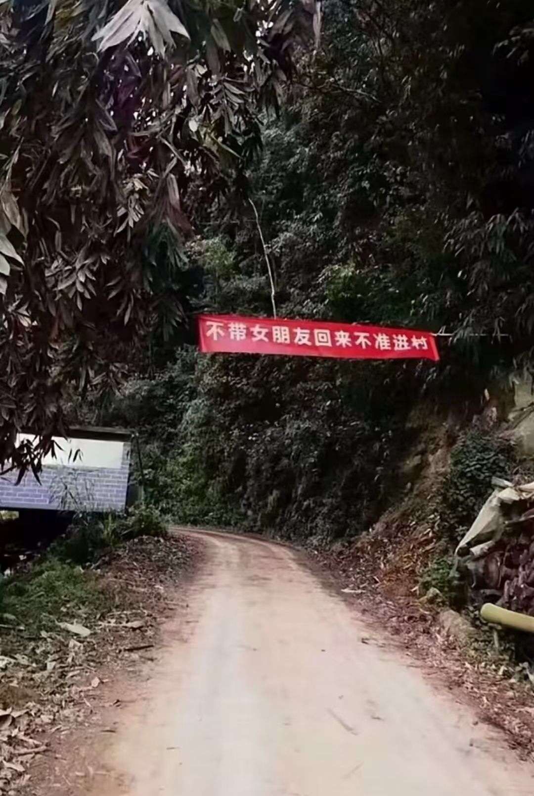 单身的我该如何应对