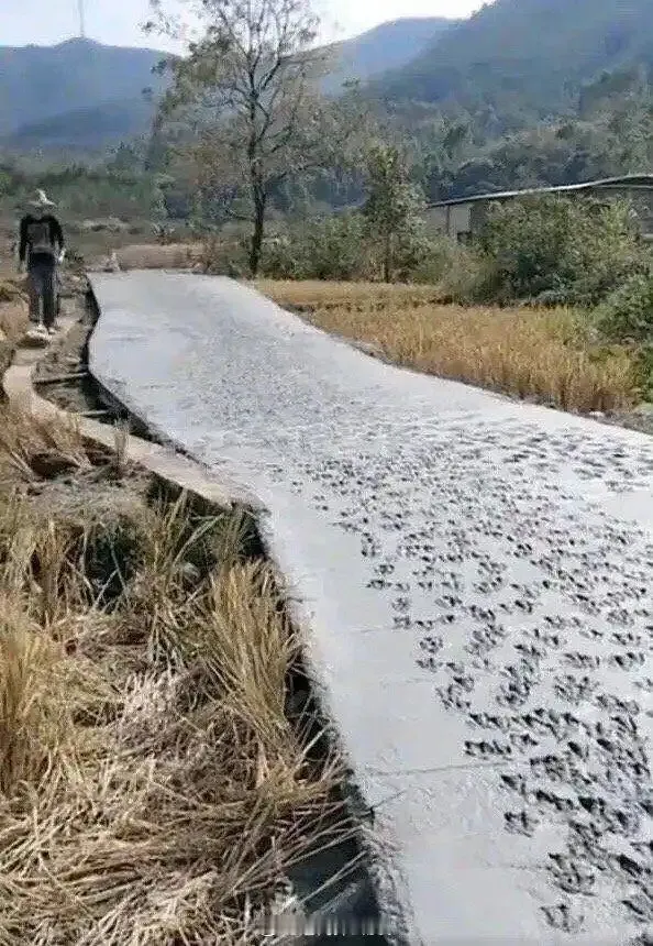 村里的新路，大家帮忙取个名字