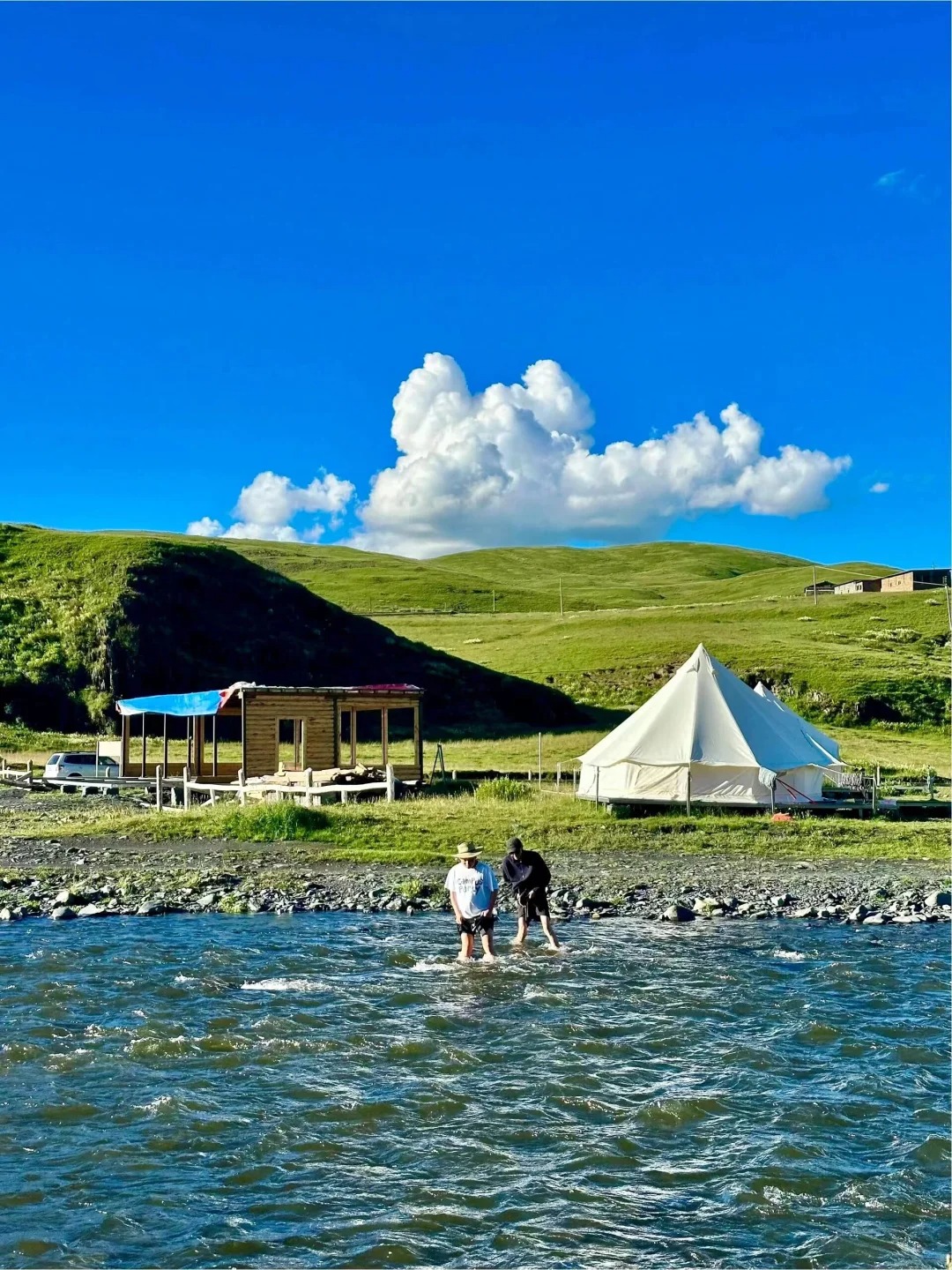 以为四姑娘山已经很美了，直到我来到了这里
夏天的川西漫山遍野的鲜花，一望无际的草