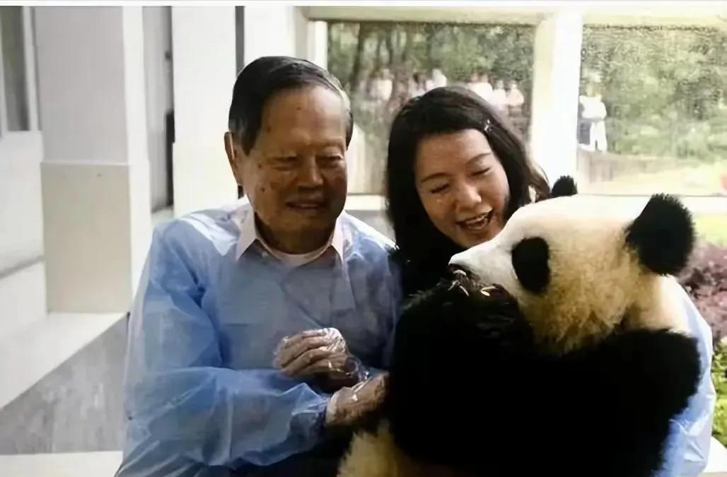 一次国庆节，杨先生带翁帆去动物园看大熊猫。
进入场地后，工作人员发了防护罩和手套