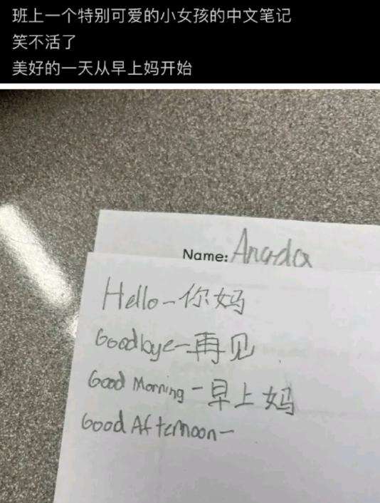 会中文，但会的不多