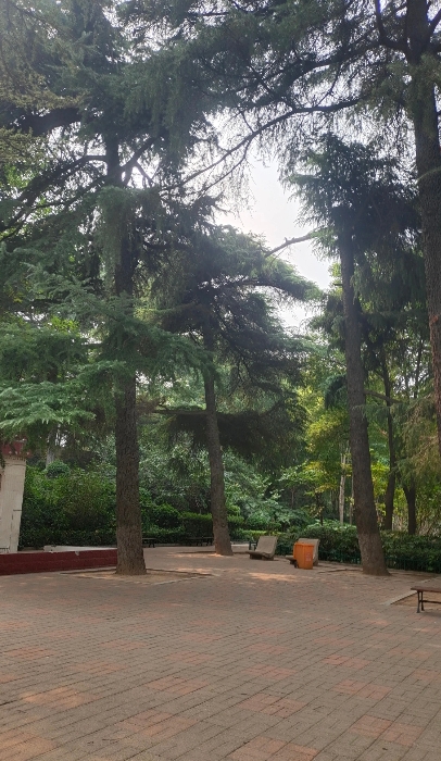 我表弟11岁目睹爸爸出轨，从此像变了个人一样，看见年轻女人就讨厌，到现在已经29