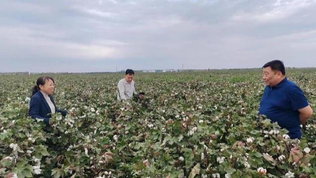 要闻！8条国内新闻摘要，两分钟看完！