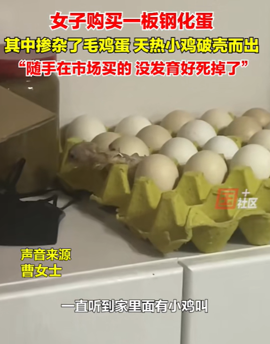 活久见！河南商丘，一女子回家后，来到卧室准备休息一会儿，可她刚躺下不久，就听到厨