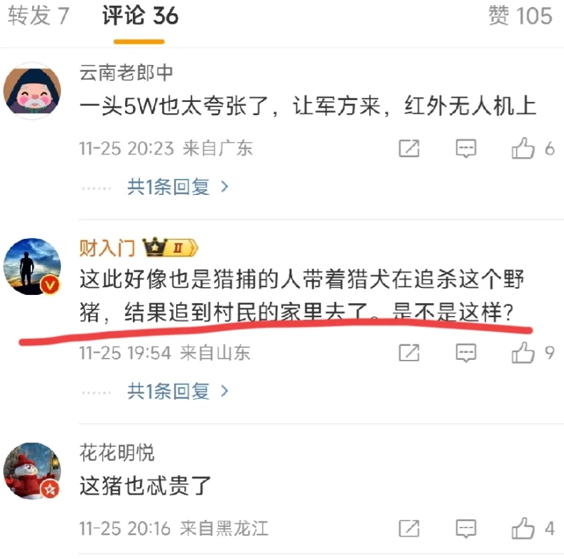 陕西安康一野猪突然冲进一户人家，撕咬七十多岁老人，老人从台阶摔倒地上，医护人员赶