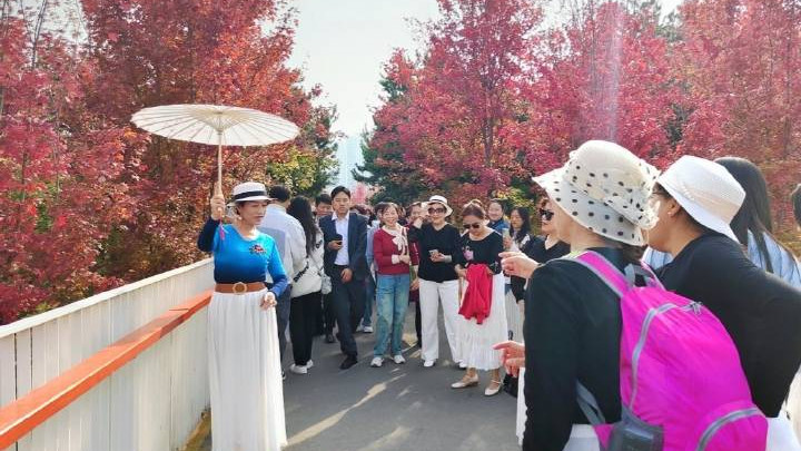 一抹秋色的古城天花板 ​