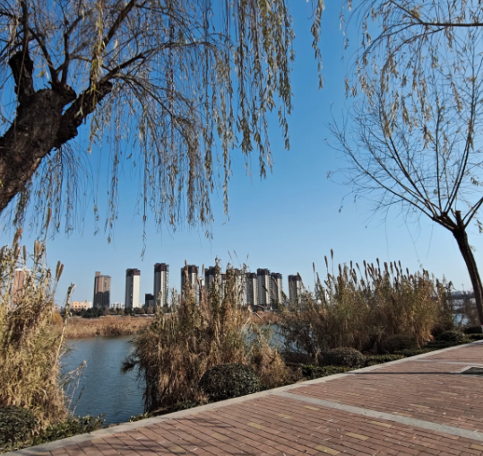 我老公真的是人间清醒呀！
老公自从上个月参加完同事的追悼会后，回来就变了。
他再