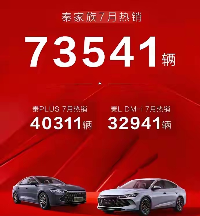 秦L没有打掉秦Plus。
9.98万的秦L上市后，本以为这款车会打掉秦Plus，
