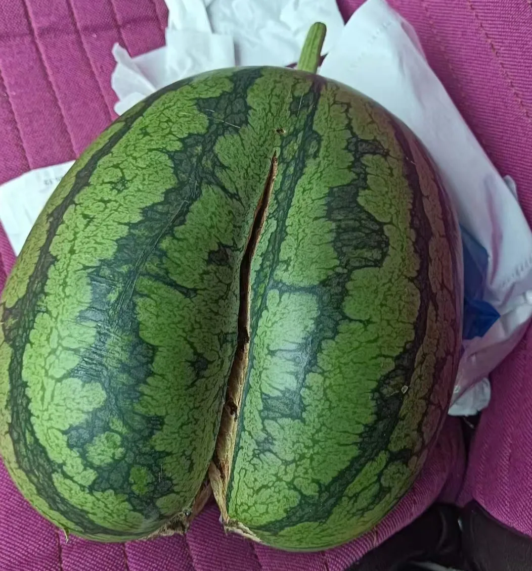 520还没过几天，就要开始玩劈腿了吗[捂脸]