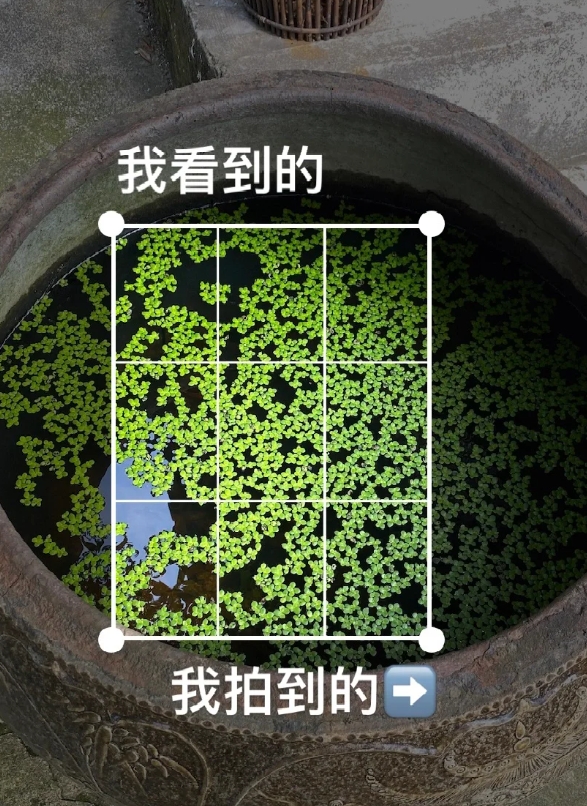我看到的VS我拍到的，培养摄影眼。

在拍摄寺庙时，您可以尝试多种不同的视角来捕