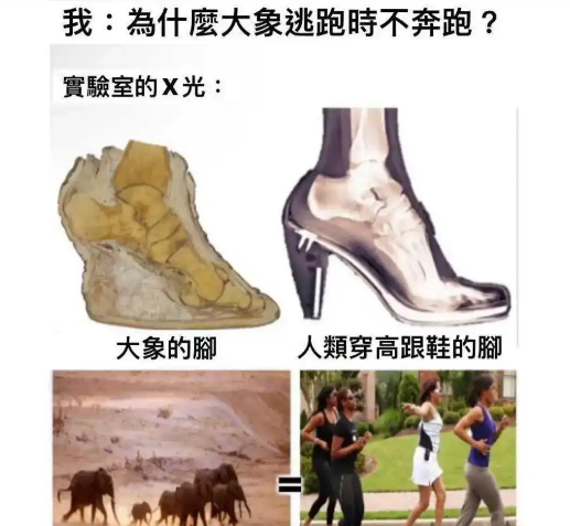 终于明白为啥不能跑起来了